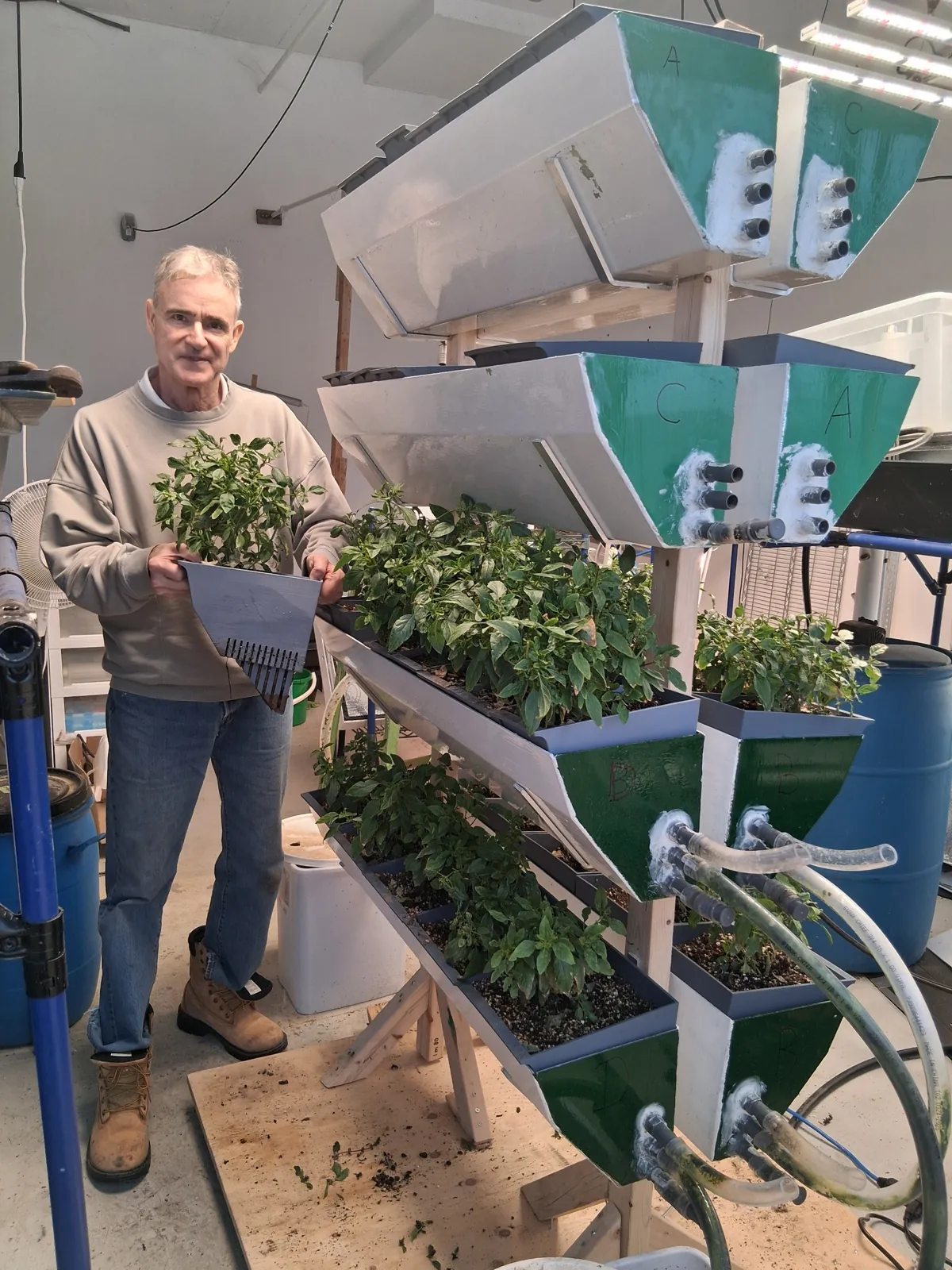Prototype de système vertical Rhizoviva