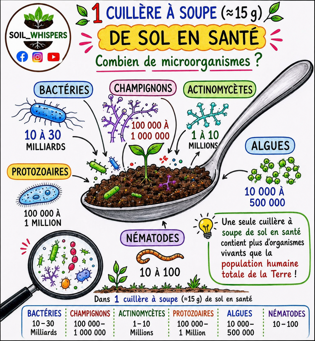 Écosystème microbien d’un sol vivant